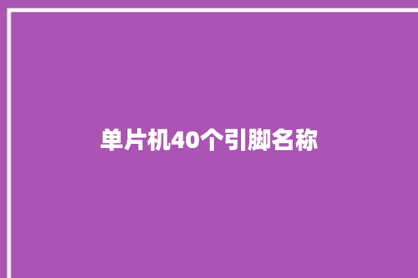 单片机40个引脚名称