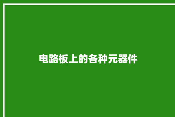 电路板上的各种元器件