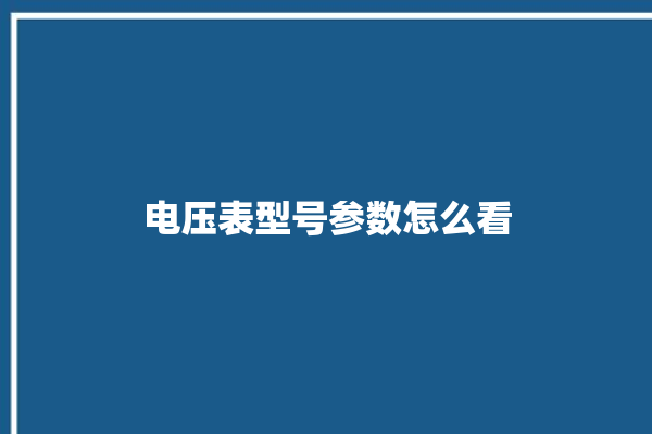 电压表型号参数怎么看