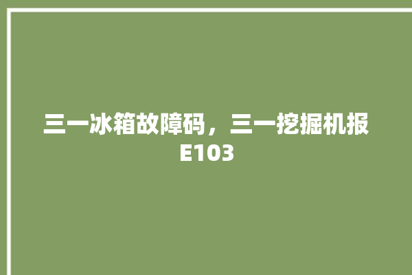 三一冰箱故障码，三一挖掘机报E103