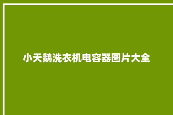 小天鹅洗衣机电容器图片大全