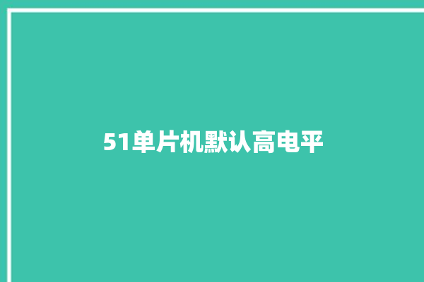 51单片机默认高电平