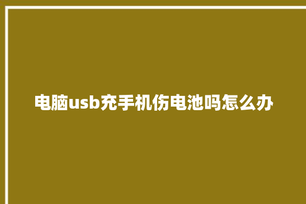 电脑usb充手机伤电池吗怎么办