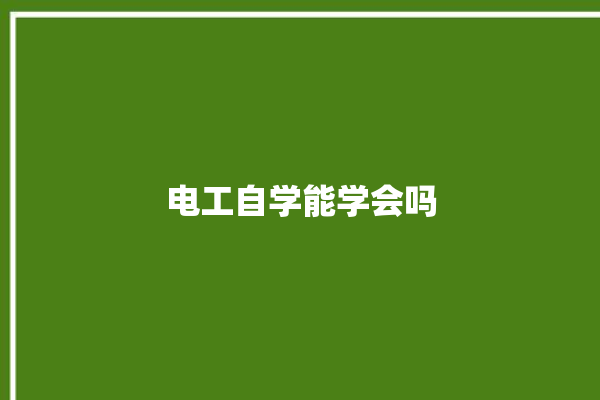 电工自学能学会吗