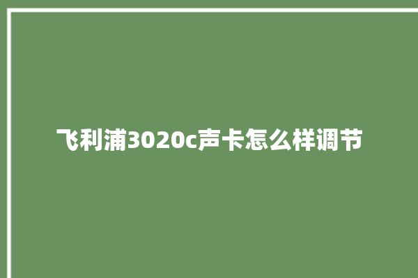 飞利浦3020c声卡怎么样调节