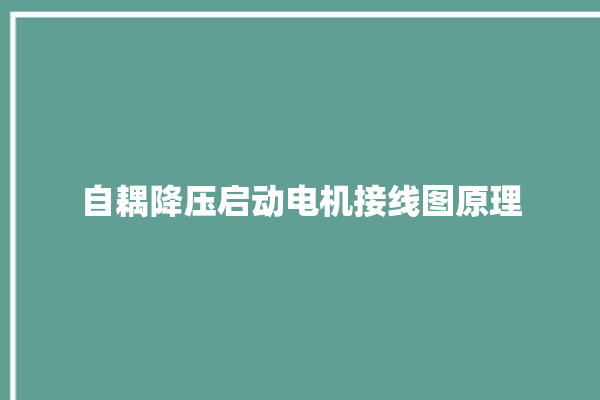 自耦降压启动电机接线图原理