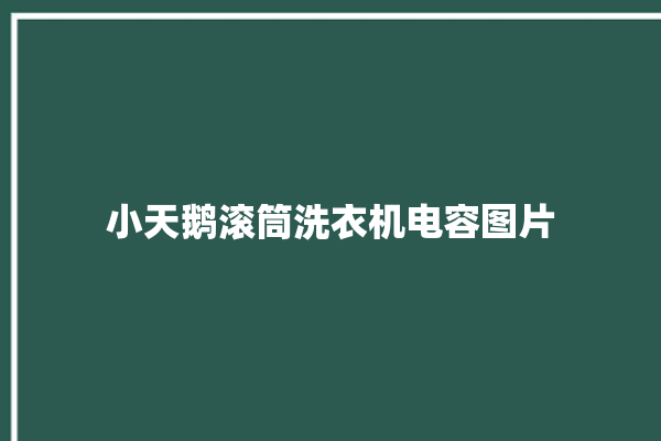 小天鹅滚筒洗衣机电容图片