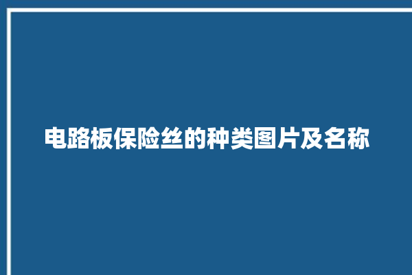 电路板保险丝的种类图片及名称