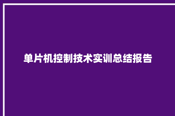 单片机控制技术实训总结报告