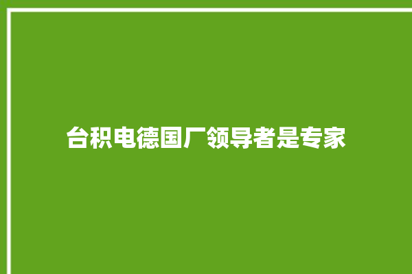 台积电德国厂领导者是专家