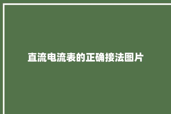 直流电流表的正确接法图片