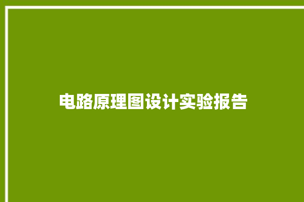 电路原理图设计实验报告