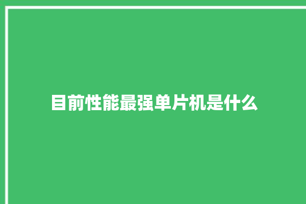 目前性能最强单片机是什么