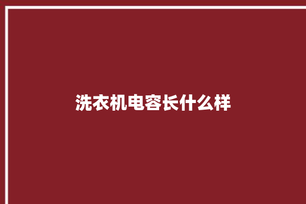 洗衣机电容长什么样