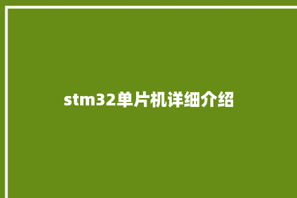 stm32单片机详细介绍