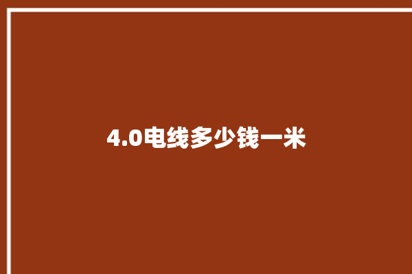 4.0电线多少钱一米