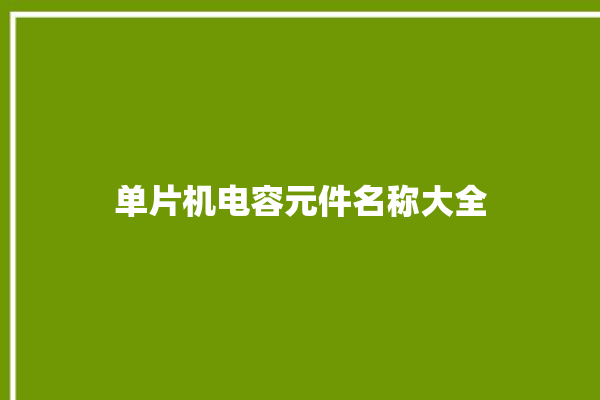 单片机电容元件名称大全