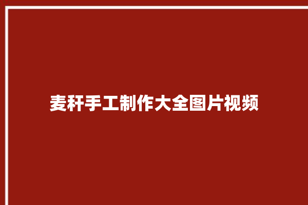 麦秆手工制作大全图片视频