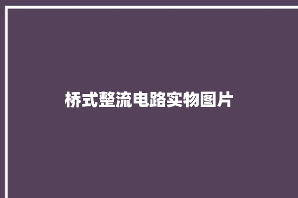 桥式整流电路实物图片