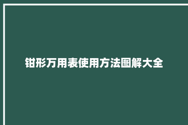 钳形万用表使用方法图解大全