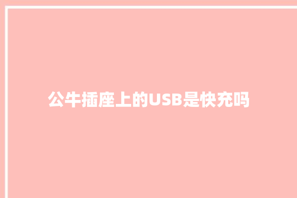 公牛插座上的USB是快充吗