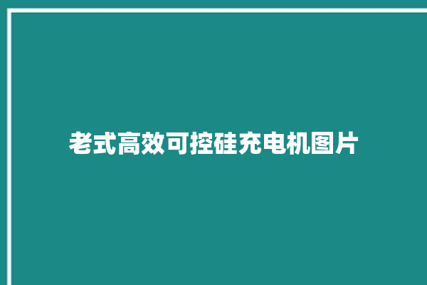 老式高效可控硅充电机图片