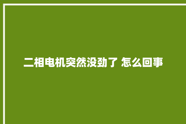 二相电机突然没劲了 怎么回事