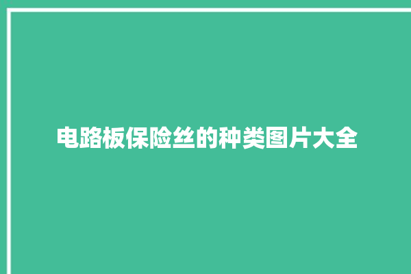 电路板保险丝的种类图片大全