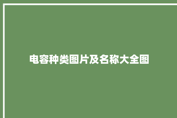 电容种类图片及名称大全图