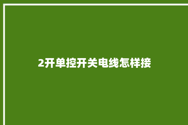 2开单控开关电线怎样接