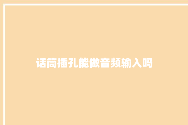 话筒插孔能做音频输入吗