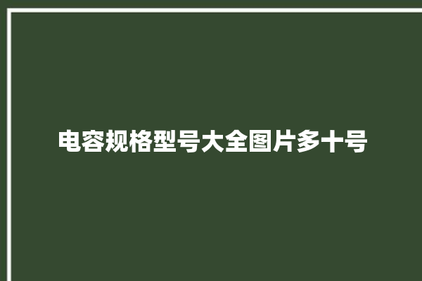 电容规格型号大全图片多十号