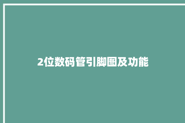 2位数码管引脚图及功能