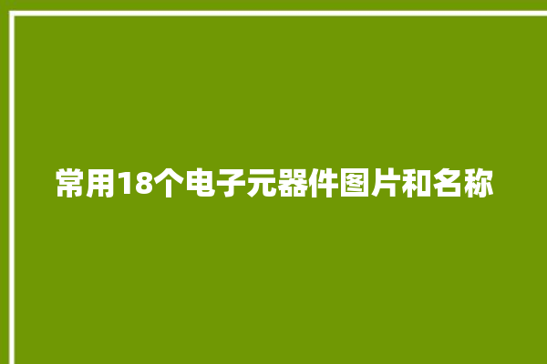 常用18个电子元器件图片和名称