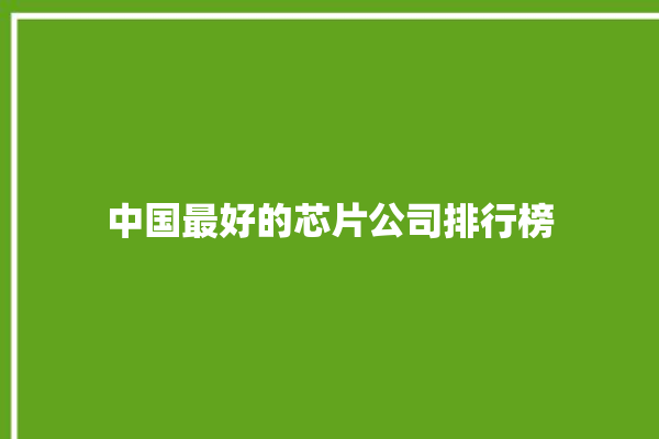 中国最好的芯片公司排行榜