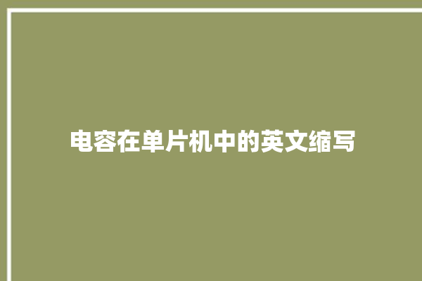 电容在单片机中的英文缩写