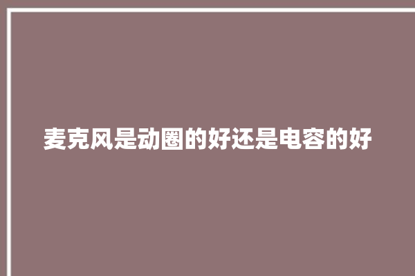 麦克风是动圈的好还是电容的好