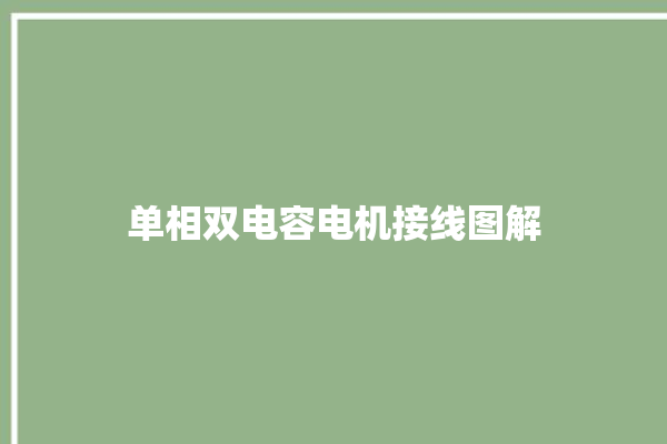 单相双电容电机接线图解