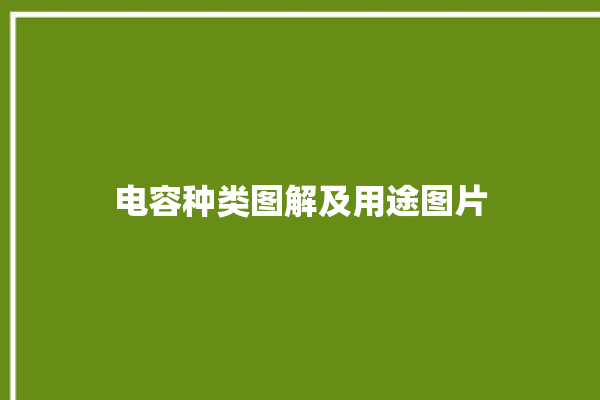 电容种类图解及用途图片