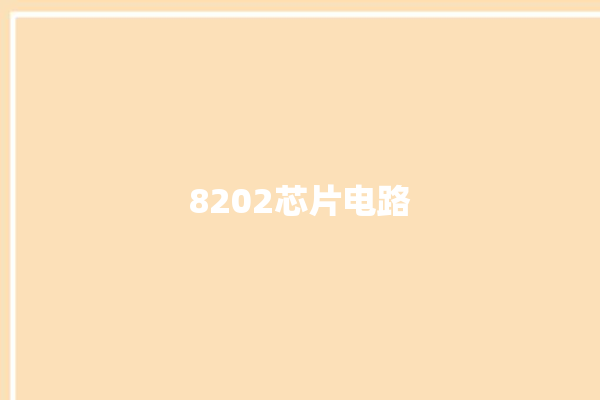 8202芯片电路