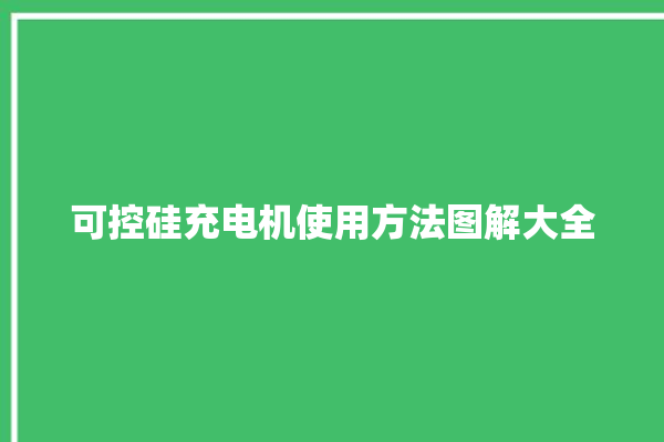 可控硅充电机使用方法图解大全