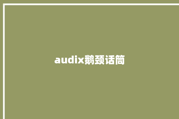 audix鹅颈话筒