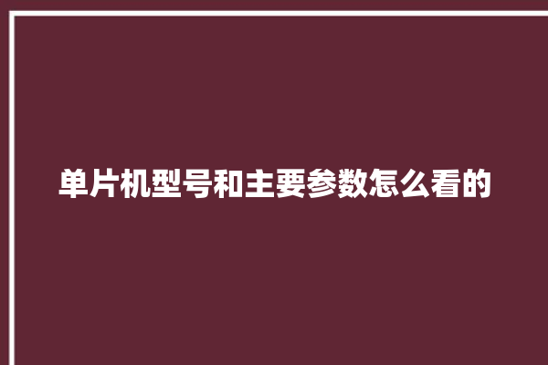 单片机型号和主要参数怎么看的