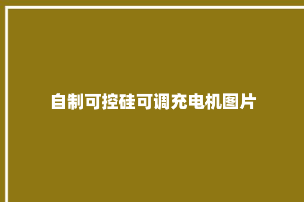 自制可控硅可调充电机图片