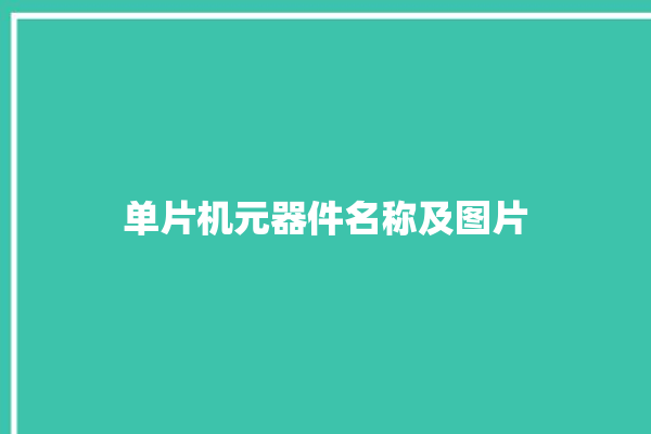 单片机元器件名称及图片