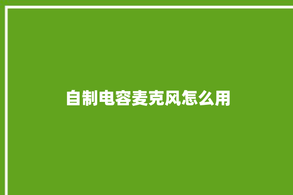 自制电容麦克风怎么用