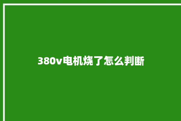 380v电机烧了怎么判断