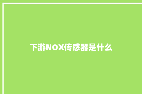 下游NOX传感器是什么