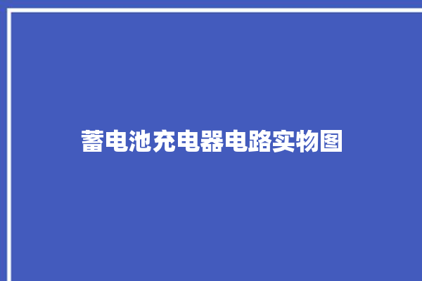 蓄电池充电器电路实物图