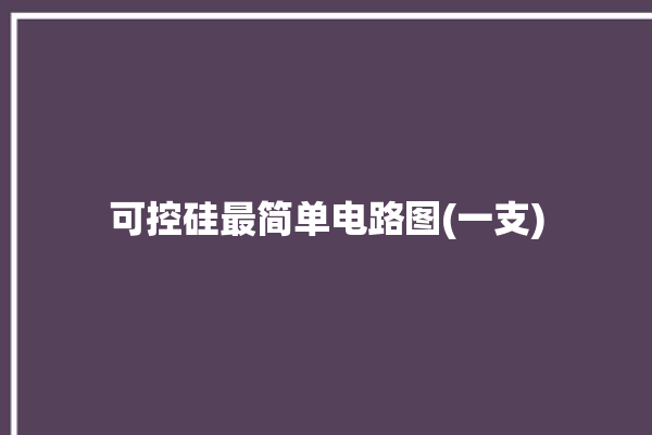 可控硅最简单电路图(一支)